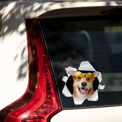 Pegatina de coche personalizada con un perro con gafas de sol mirando por una ventana rasgada.