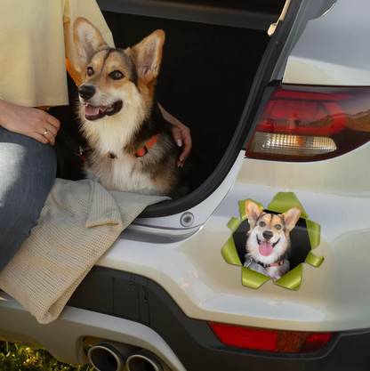 Pegatina de coche personalizada - Foto asomándose