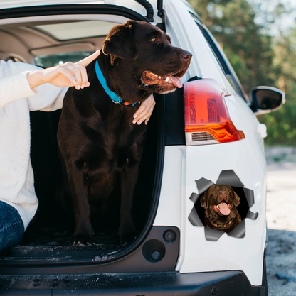 Pegatina de coche personalizada - Foto asomándose