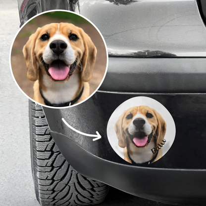 Pegatina de coche personalizada con foto de un beagle y el texto "Bau".