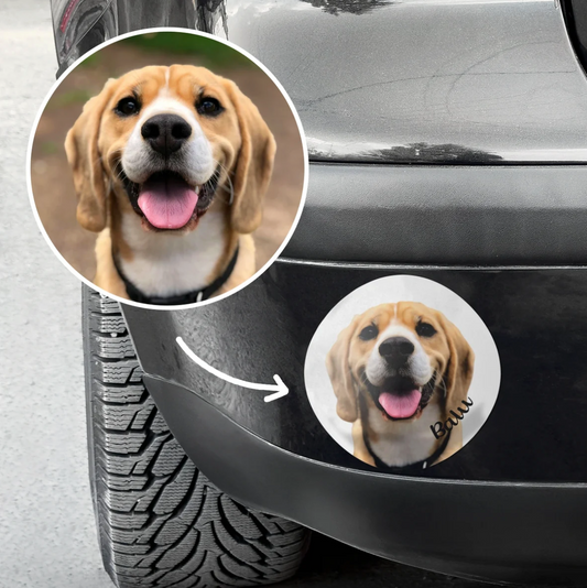 Pegatina de coche personalizada con foto de un beagle y el texto "Bau".
