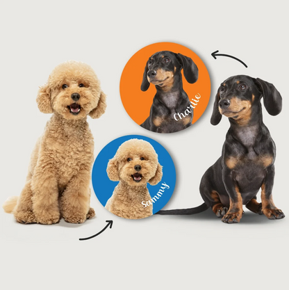 Perros en distintos colores y posturas, rodeados de pegatinas redondas con nombres sobre fondo colorido.