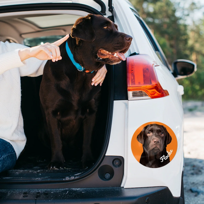 Pegatina de coche personalizada con foto de perro en un vehículo blanco. Perro sentado en el maletero.