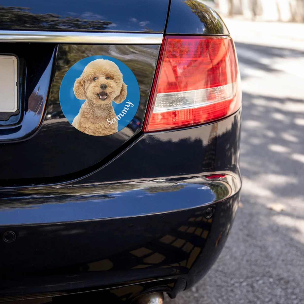 Pegatina de coche con foto de perro y el nombre "Sammy" en un vehículo negro.