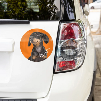 Pegatina de coche personalizada con imagen de un teckel sobre fondo naranja, en un coche blanco.