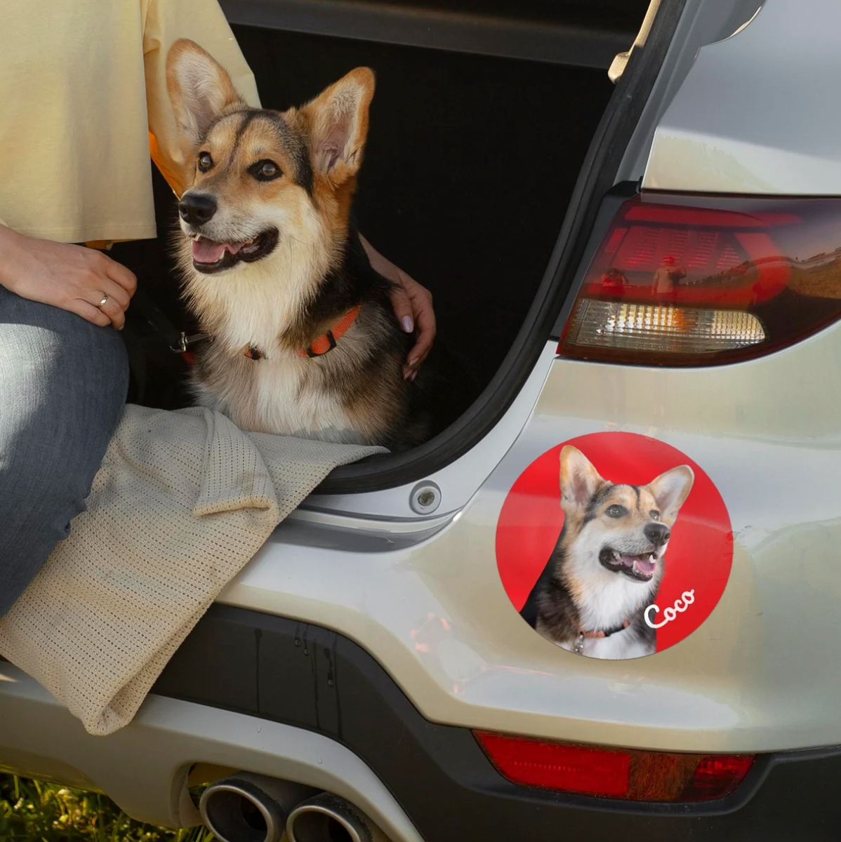 Pegatina de coche con foto de un perro en el portón trasero de un coche.