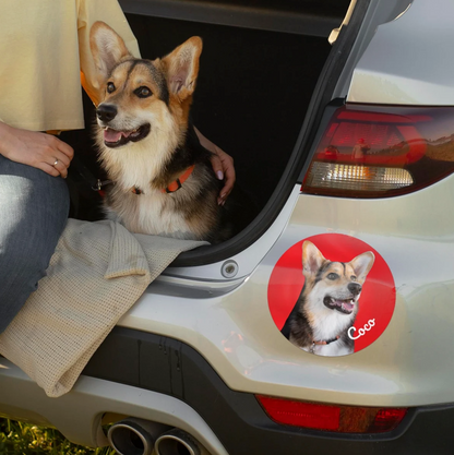 Pegatina de coche con foto de un perro en el portón trasero de un coche.