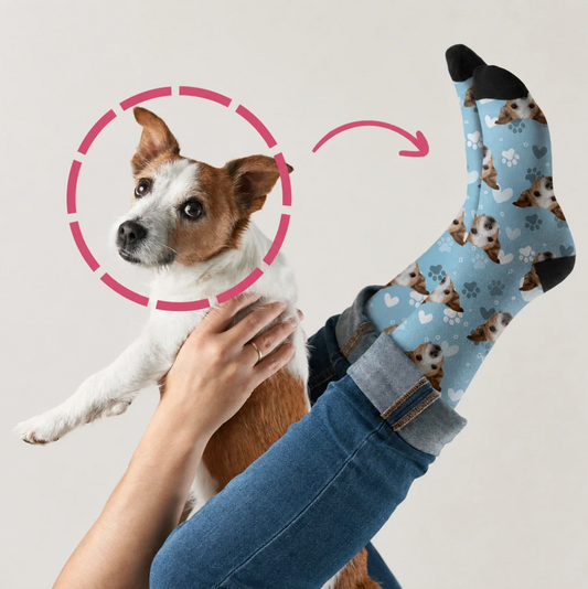 Calcetines personalizados con estampado de perros en azul y puntera negra, llevados por una persona con un perro.