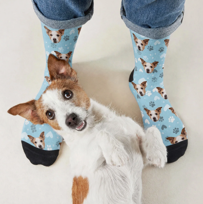 Calcetines personalizados con motivo de perro sobre fondo azul claro y un perro tumbado en el suelo.