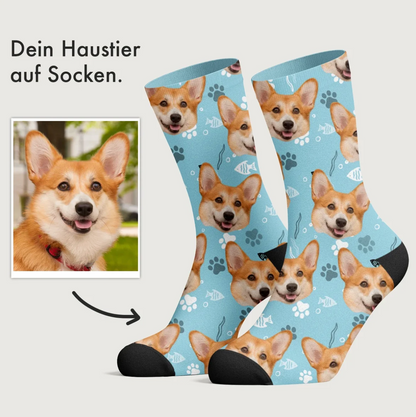 Calcetines personalizados de color base azul con estampado de corgis.