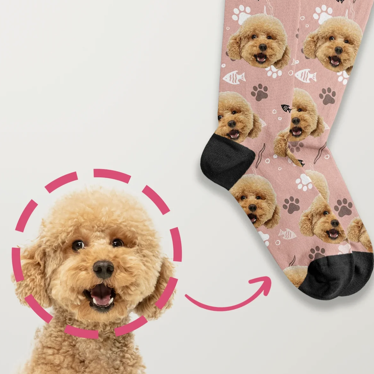 Calcetines personalizados con foto de un perro sobre fondo rosa y puño negro.