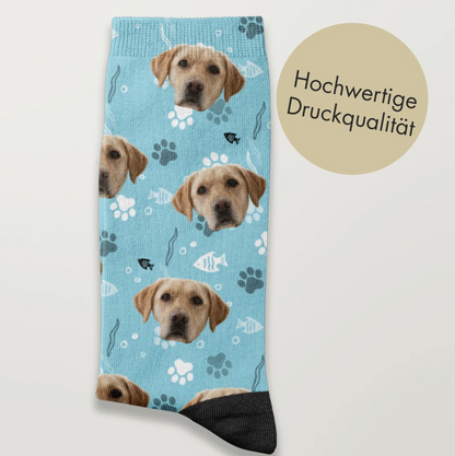 Calcetines azules con motivo de perro y huellas, impresión de alta calidad.