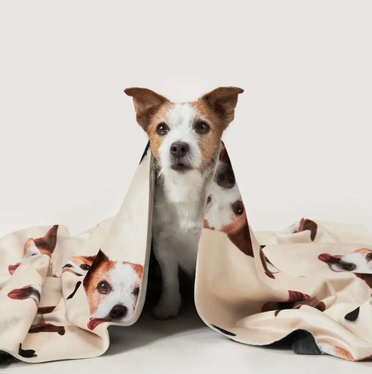Manta para mascotas con cabezas de animales envolviendo a un perro, beige con estampado colorido.