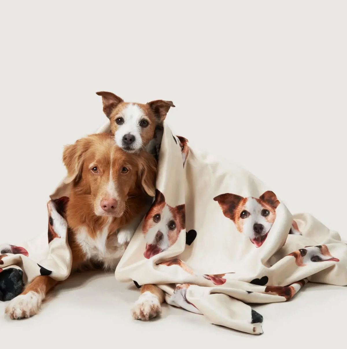 Manta beige personalizada con cabezas de mascotas, envolviendo a dos perros.
