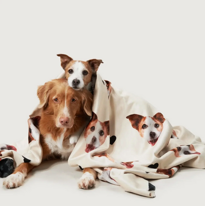 Manta beige personalizada con cabezas de mascotas, envolviendo a dos perros.