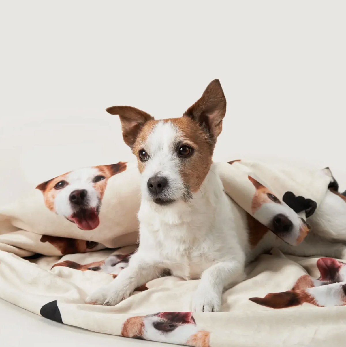 Manta personalizada con fotos de perros, fondo crema y material suave. Un perro tumbado encima.