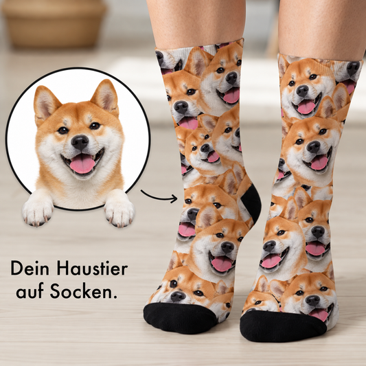 Calcetines personalizados con estampado fotográfico de shiba inu sobre fondo blanco.