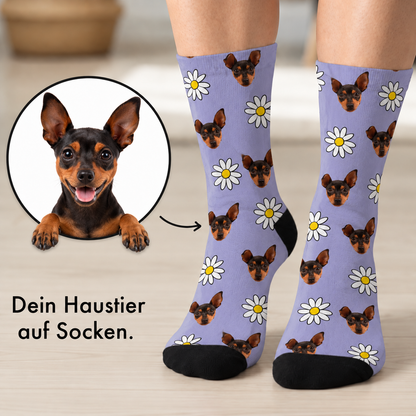 Calcetines personalizados con fondo lila, estampados con caras de perros y flores.