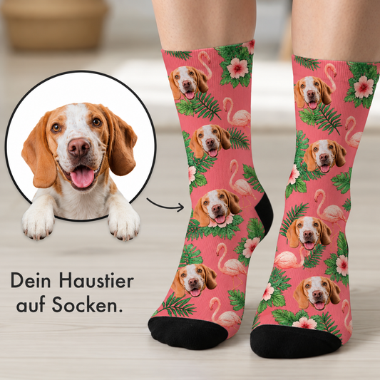 Calcetines personalizados con colorido diseño de beagle, fondo rosa con flamencos y hojas.