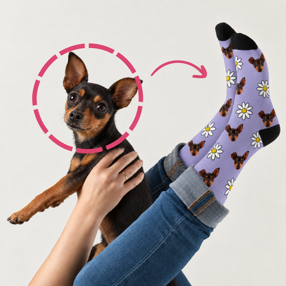 Calcetines personalizados con motivo de perro sobre fondo lila, combinados con vaqueros y un perro juguetón.