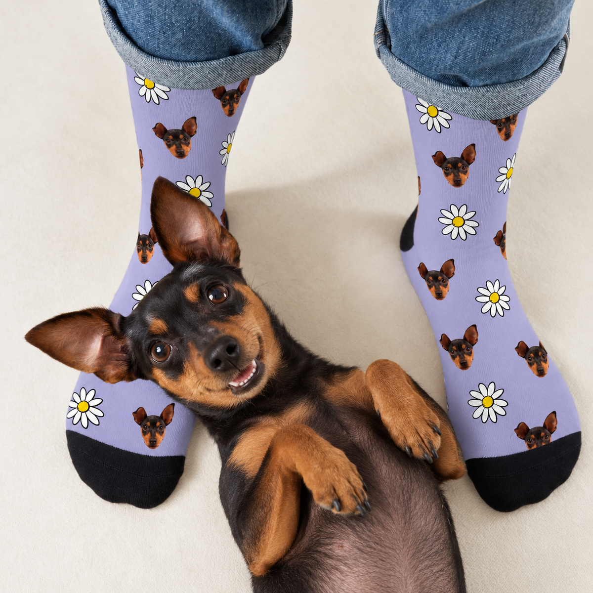 Calcetines personalizados con estampado fotográfico sobre fondo lila, con un perro sonriente en el suelo.