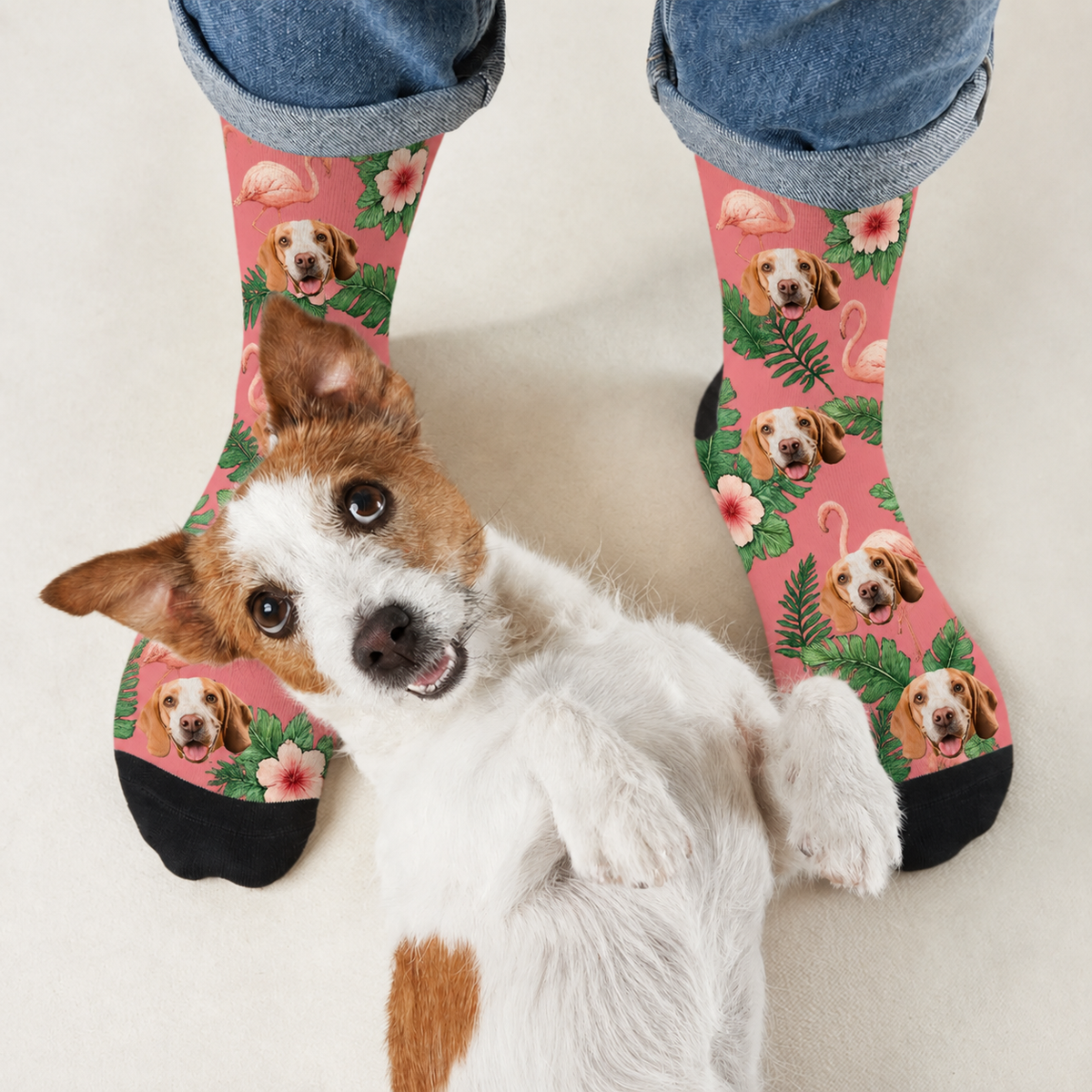 Calcetines personalizados con motivos de perros y flamencos sobre fondo rosa, con detalles negros.