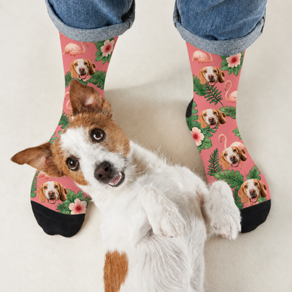 Calcetines personalizados con motivos de perros y flamencos sobre fondo rosa, con detalles negros.