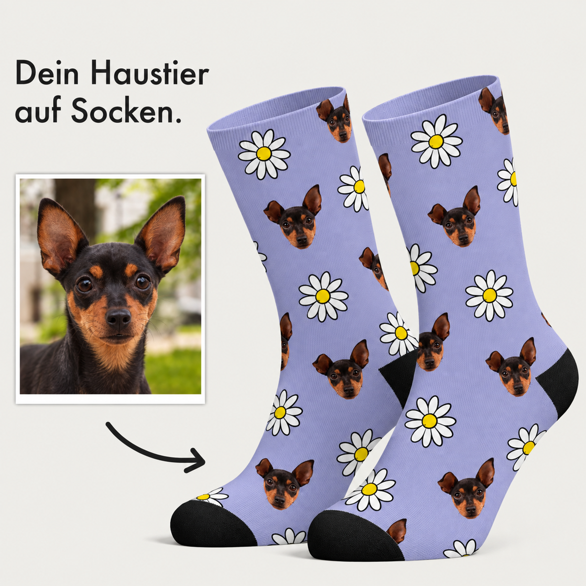 Calcetines personalizados con fondo lila, estampado floral y caras de perros. Algodón.