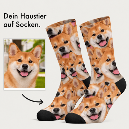 Calcetines personalizados con colorido estampado fotográfico de perros, principalmente naranja y negro.