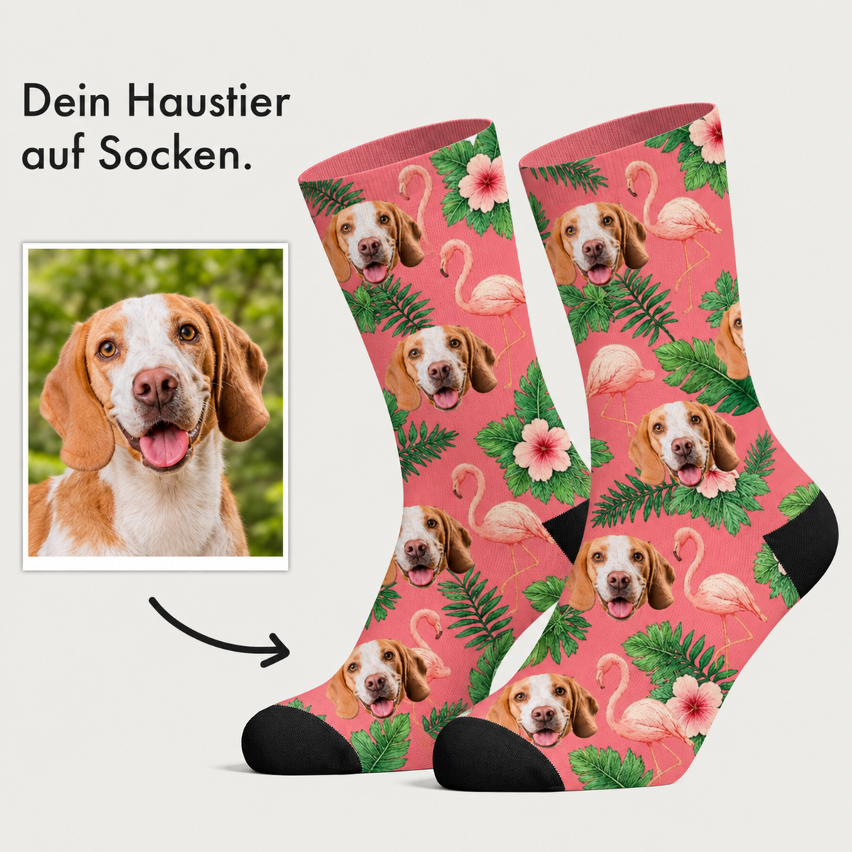 Calcetines personalizados con motivo de perro, fondo rosa y flores tropicales.