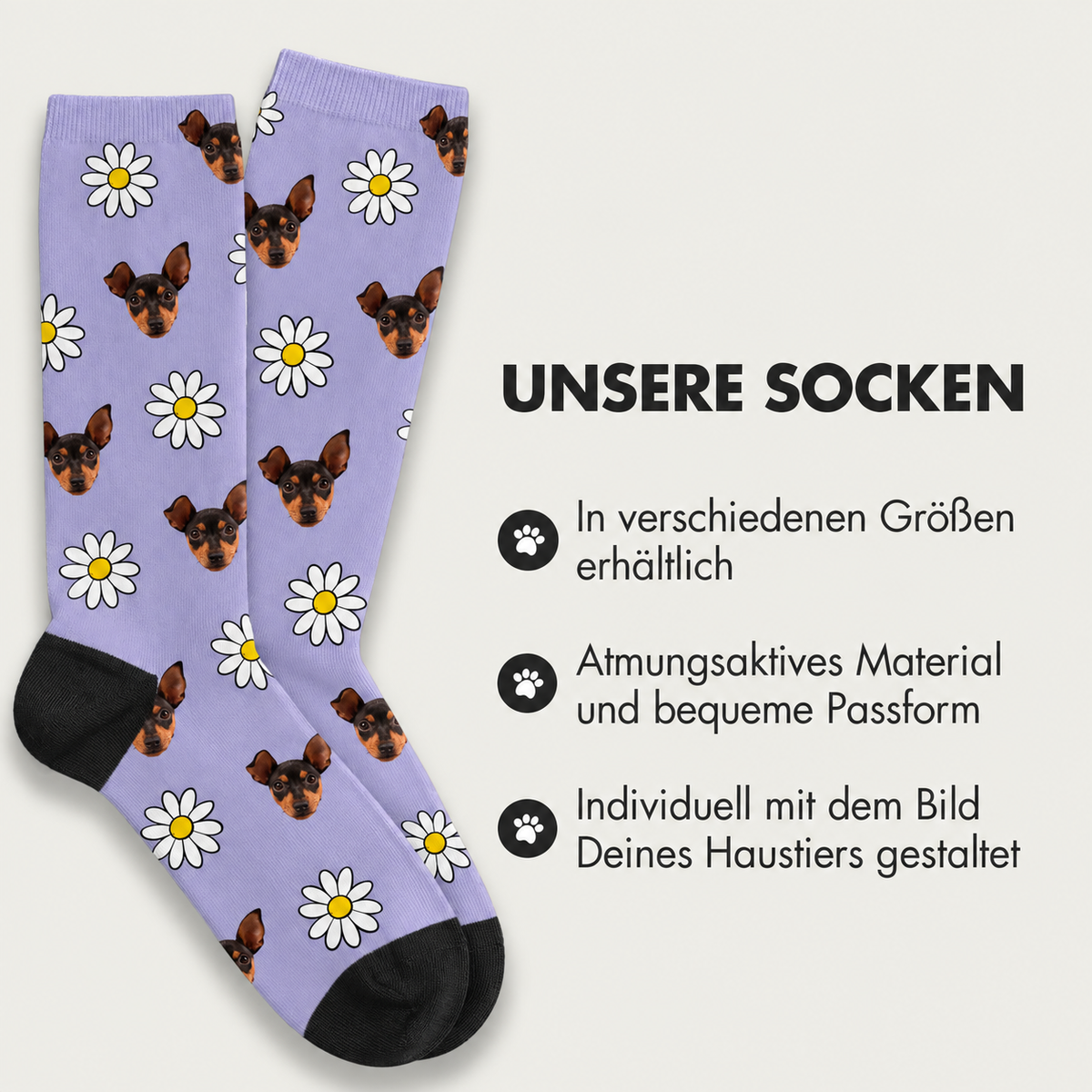 Calcetines lila con motivos de perros y estampado floral, transpirables y disponibles en varias tallas.