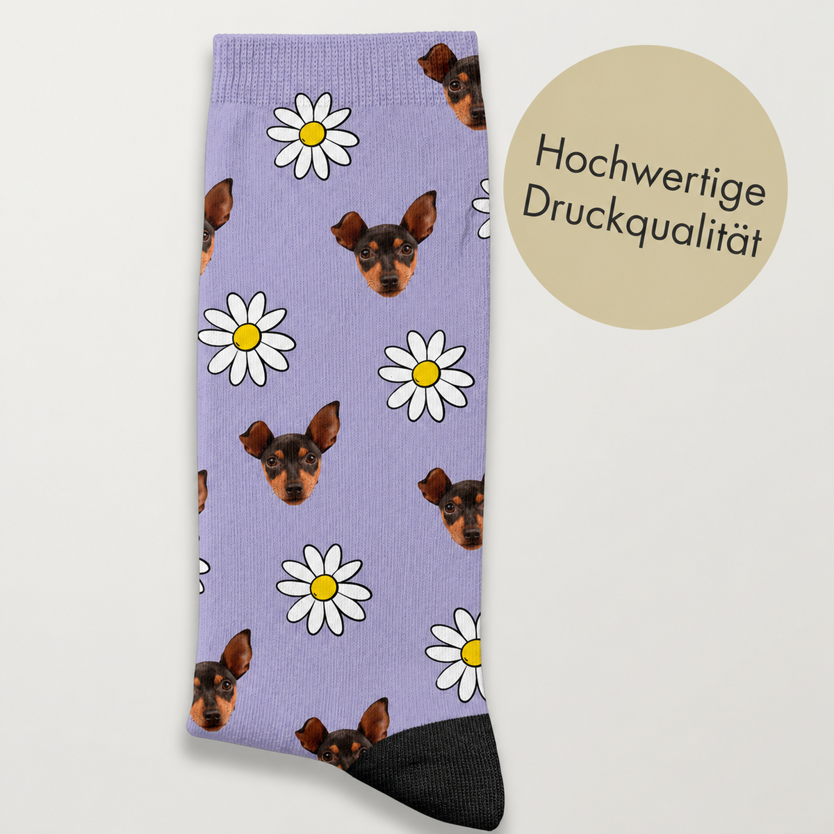 Calcetines personalizados lila con motivo de perro y margaritas, impresión de alta calidad.
