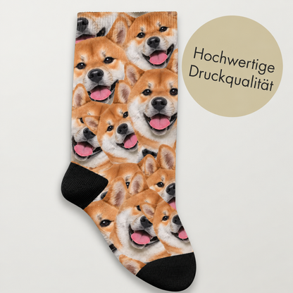 Calcetines personalizados con estampado fotográfico de perros sonrientes, tejido suave con puño negro.