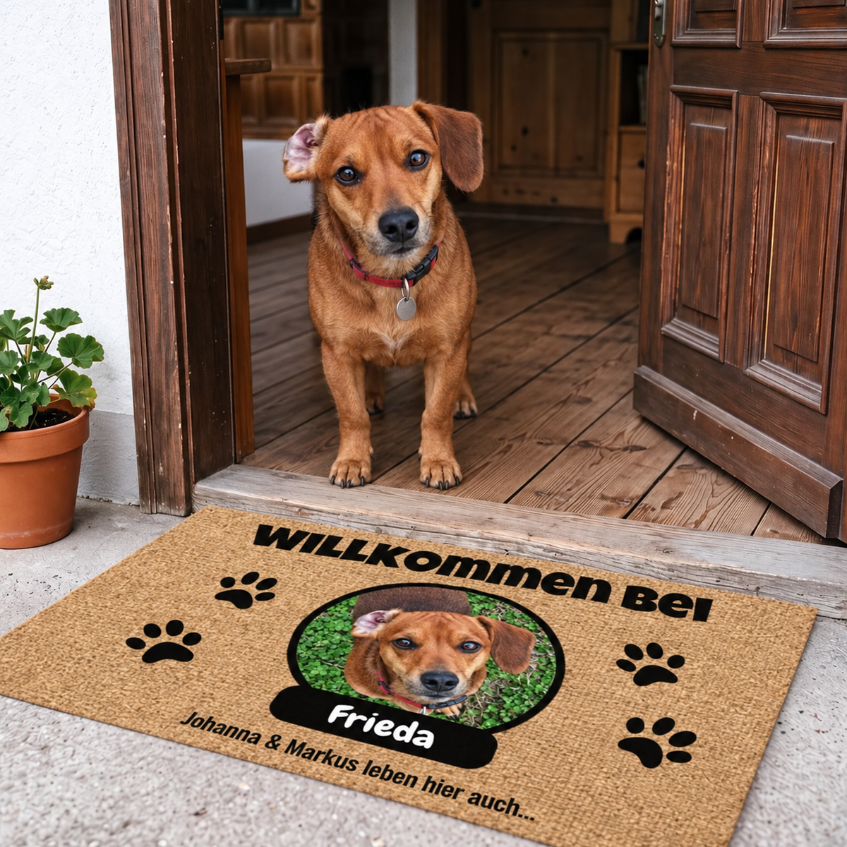Felpudo personalizado de materiales naturales con foto y placa con nombre para mascotas.