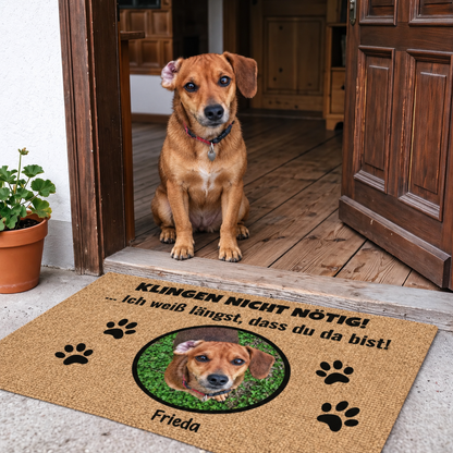 Felpudo personalizado de material tipo yute con motivo de perro y el nombre "Frieda".