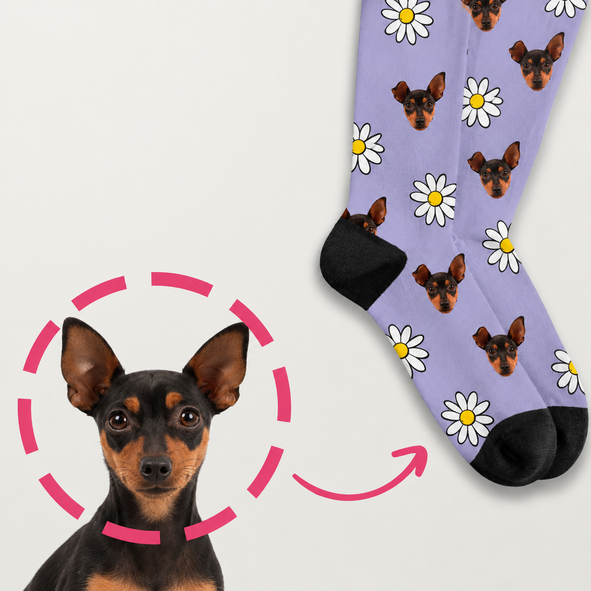 Calcetines personalizados con fondo lila, estampados con perros y flores blancas.