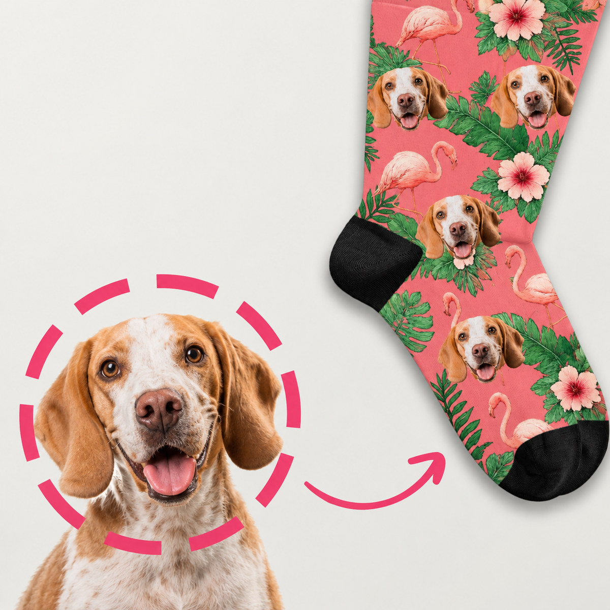 Calcetines personalizados con colorido estampado de aves del paraíso y perros. Motivos florales de colores sobre fondo rosa.