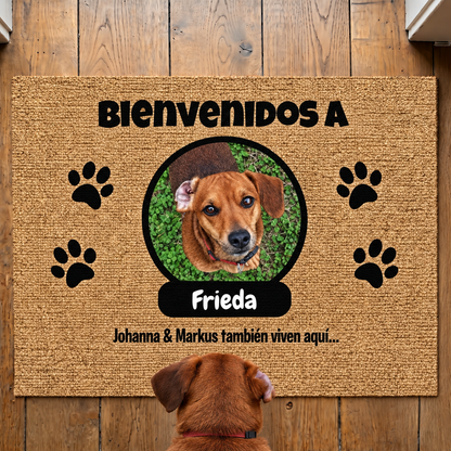 PetAmor ES – 2