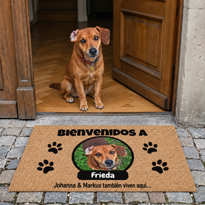 PetAmor ES – 3