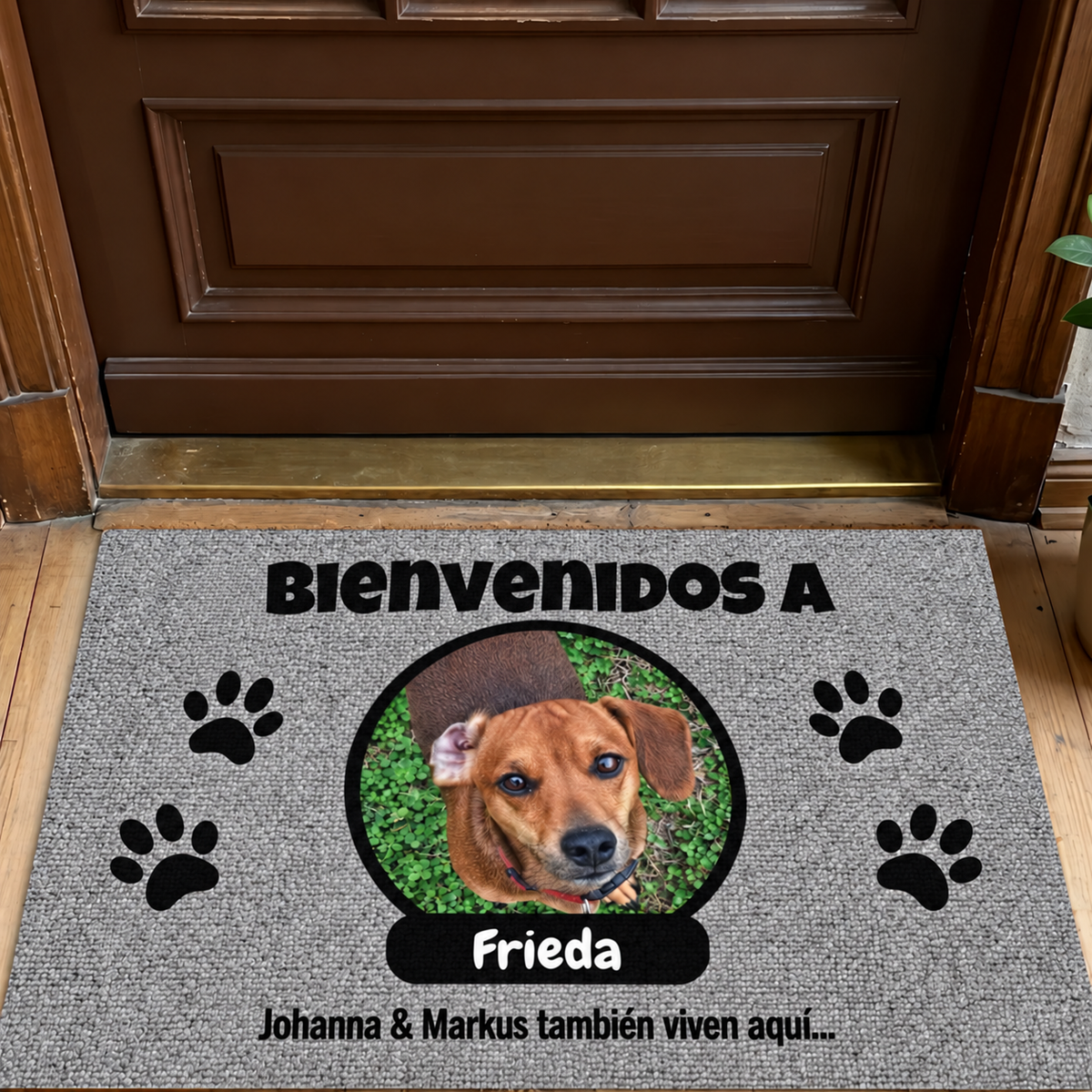 PetAmor ES – 6