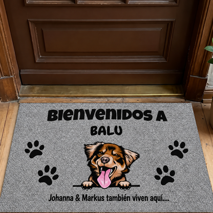 PetAmor ES – 6