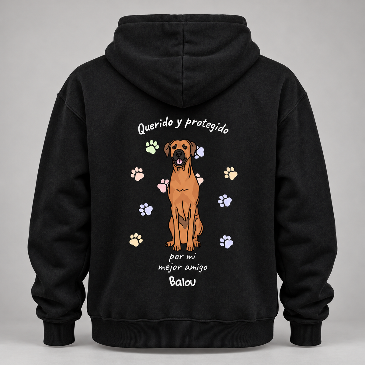 Petamor Hoodie Geliebt Beschuetzt ES 00_Produkt