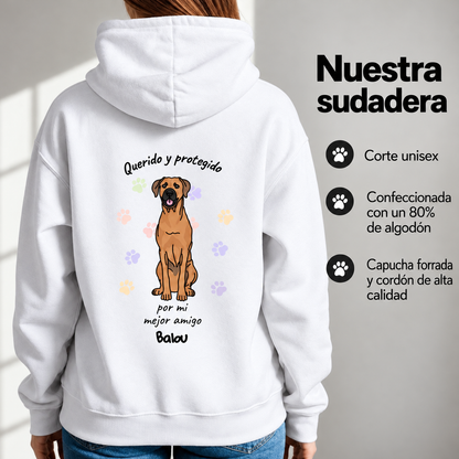 Petamor Hoodie Geliebt Beschuetzt ES 09_Produktinfo