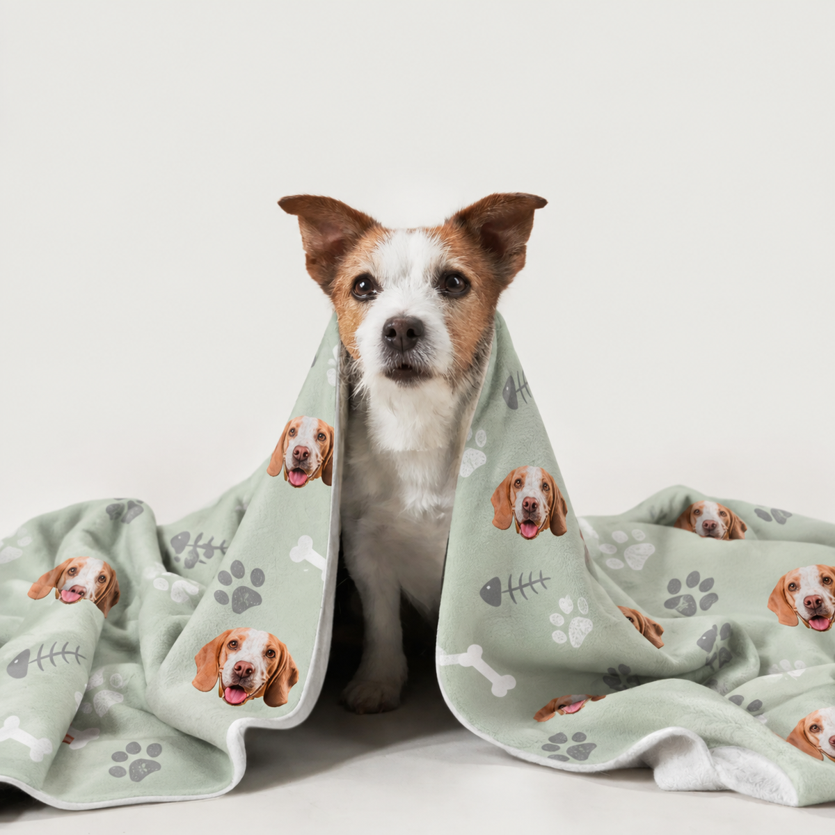 Perro envuelto en una manta personalizada con motivos de perros sobre fondo verde.