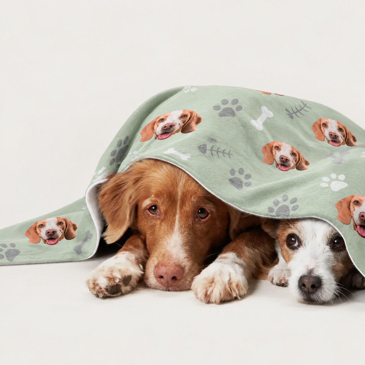 Dos perros tumbados bajo una manta personalizada verde pastel con motivos de perros.