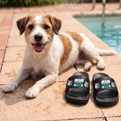 Chanclas negras personalizadas con motivos de gatos junto a un perro en el borde de la piscina.