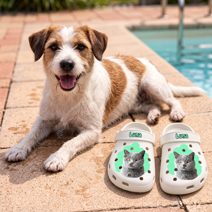 Zuecos personalizados con retrato de gato en gris y verde junto a un perro en la piscina.