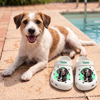 Zuecos blancos personalizados con retrato de perro y detalles verdes, sobre suelo de piedra junto a un perro.