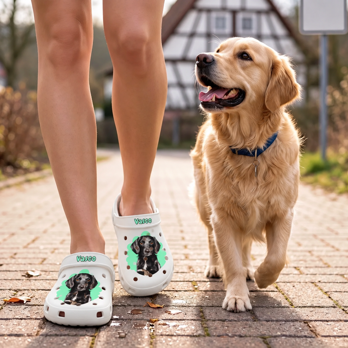 Persona con zuecos blancos personalizados con retrato de mascota en un camino con un golden retriever.