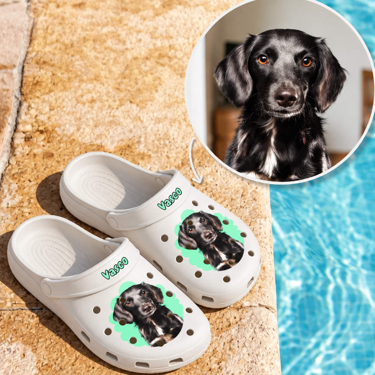 Zuecos blancos con retrato de perro y el nombre "Vasco" sobre gráfico de fondo verde.